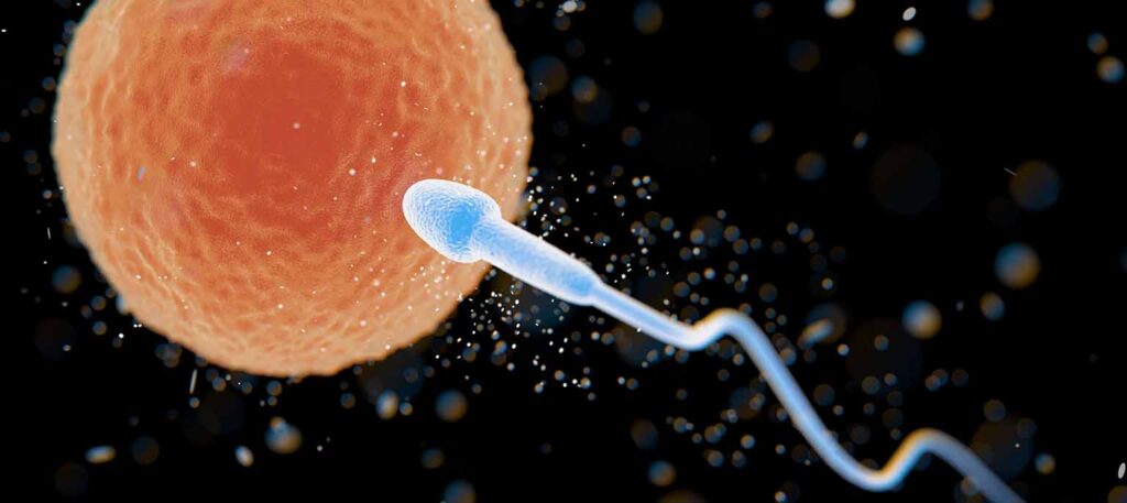 Sperm Retrieval
