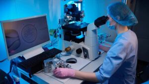 Read more about the article The Future of IVF: How AI Is Enhancing Embryo Selection and Clinical Pregnancy Outcomes