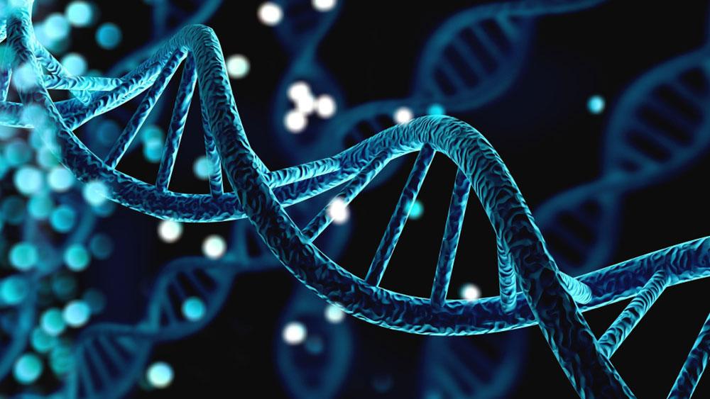 You are currently viewing Understanding Genetic Diseases in the Context of IVF and ICSI