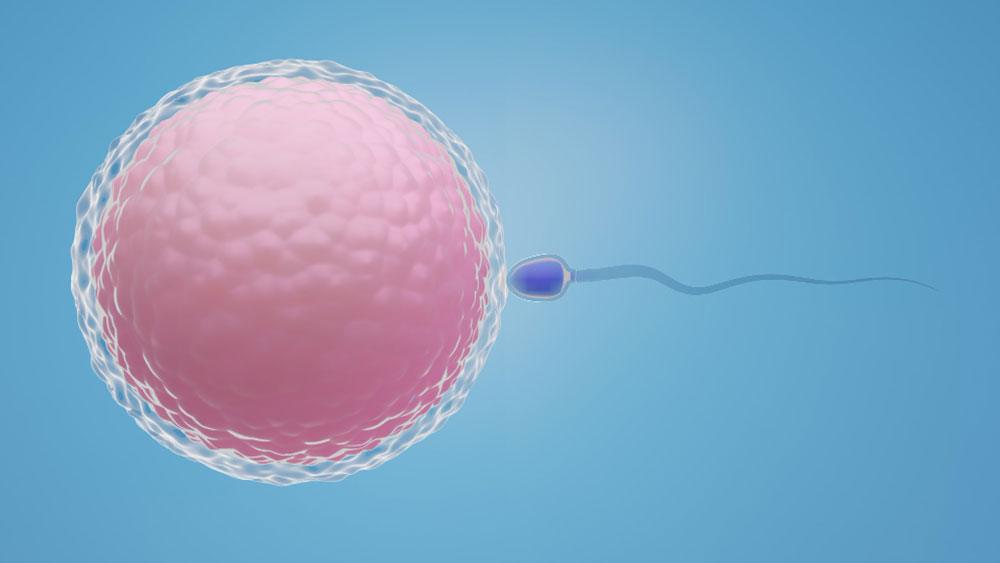 Read more about the article What Is ICSI? Procedure, Benefits & When It’s Recommended