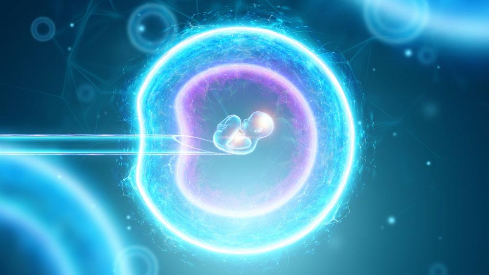 You are currently viewing How Many IVF Cycles Are Safe?