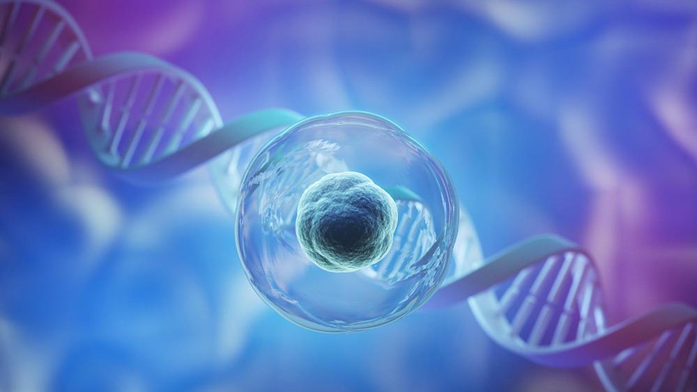 You are currently viewing What Is PGT (Preimplantation Genetic Testing) and Who Needs It?