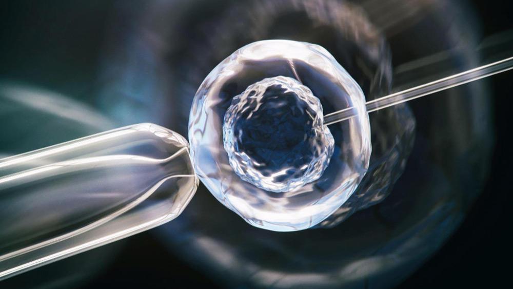 You are currently viewing Does Embryo Transfer Hurt? What to Expect During the Final IVF Step